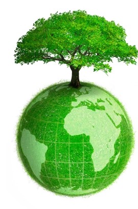 Green Economy